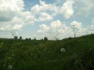 Партизанське з panoramio.com