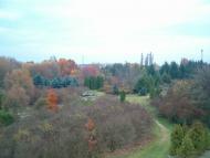 Березне з panoramio.com