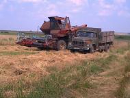 Сатиїв з panoramio.com