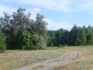 Червонозаводське з panoramio.com