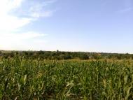 Верхня Слобідка з panoramio.com