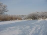 Ромни з panoramio.com