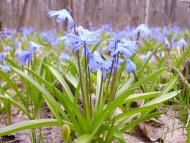 Малі Проходи з panoramio.com