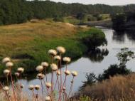 Орлівське з panoramio.com