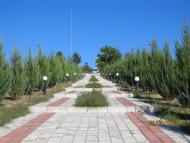 Старобогданівка з panoramio.com