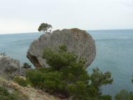 Долина з panoramio.com - Долина