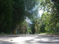 Більшовик з panoramio.com