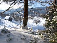 Микуличин з panoramio.com (ч.2)