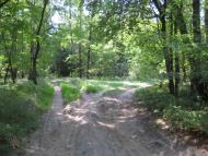 Чижівка з panoramio.com