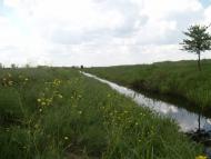 Партизанське з panoramio.com