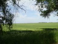 Переяслівка з panoramio.com