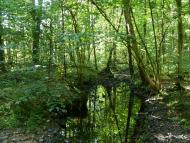 Повч з panoramio.com