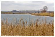 Токарівка з panoramio.com