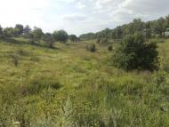 Нова Павлівка з panoramio.com