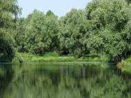 Марківці з panoramio.com