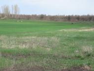 Великий Бурлук з panoramio.com