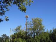 Добринька - Останні фото