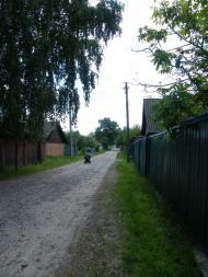 Петрики з panoramio.com