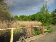 Дмитрівка з panoramio.com