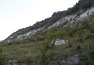 Велика Кісниця з panoramio.com