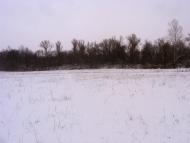 Шишаки з panoramio.com