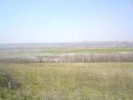 Верхнешевыревка - Последние фото