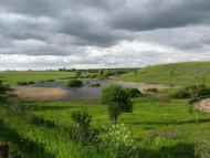 Триліси з panoramio.com