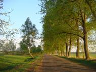 Переяслівка з panoramio.com