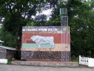 Першотравневе з panoramio.com