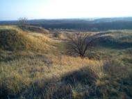 Дмитрівка з panoramio.com