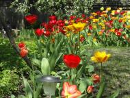 Перекопівка з panoramio.com