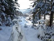 Микуличин з panoramio.com (ч.2)