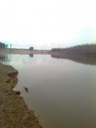 Спаське з panoramio.com