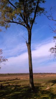 Новосілка з panoramio.com