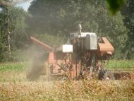 Чагари-Збаражские - Последние фото