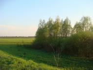 Переяслівка з panoramio.com