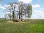 Партизанське з panoramio.com