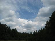 Чижівка з panoramio.com