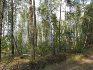 Кумейки з panoramio.com