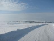 Живачів - Останні фото