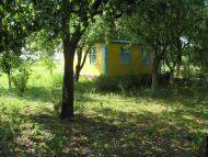 Kukshyn - Latest photos