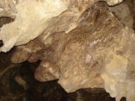 Кривче з panoramio.com