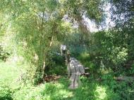 Білашки з panoramio.com