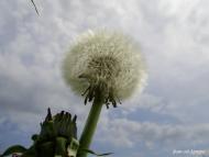 Суськ з panoramio.com