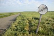 Мар'ївка з panoramio.com