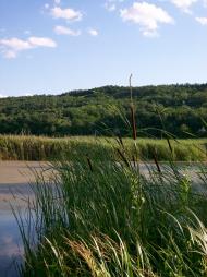 Настасіївка - Останні фото