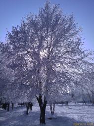 Кучурган з panoramio.com