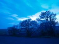 Стовп'яги з panoramio.com