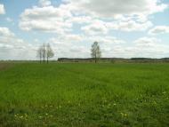 Партизанське з panoramio.com