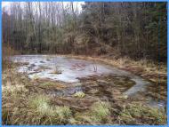 Мохначі з panoramio.com